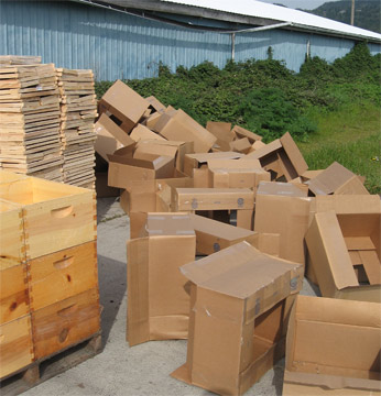 Beehive foundation frames and deep bee boxes on pallets & packaging