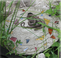 Common Garter Snake suns itself on concrete by Brookfield Farm hives