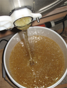 Honey pours from Maxant Extractor in Brookfield Farm Honey Room.
