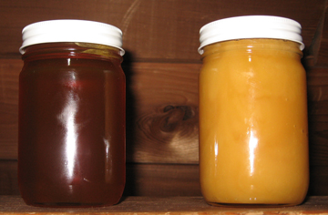 Jars of crystallized honey and runny honey - same type of honey