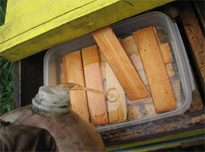 A plastic tray with wood floats used as a bee hive "hive top feeder"