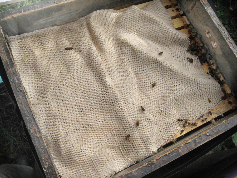 A Brookfield Farm top collar with a piece of burlap laid down to stop bees building