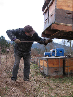 Bee Hives & Pallets are cleaned by Pat Ray
