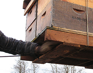 A swipe by hand finishes the cleaning of a bee hive pallet