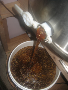 Dark, Rich Brookfield Farm honey pouring from the extractor