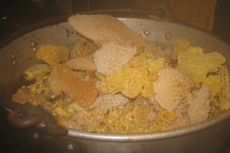 Burr Comb in a melting pot - making beeswax bars