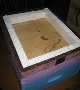 Insulation around the drop area of a winter hive separator