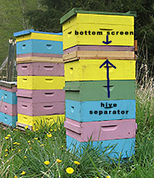 Spring time use of winter hive Separators