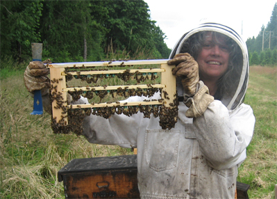 Beekeeper Karen E. Bean of Brookfield Farm Bees And Honey and Grafted Queen Cells