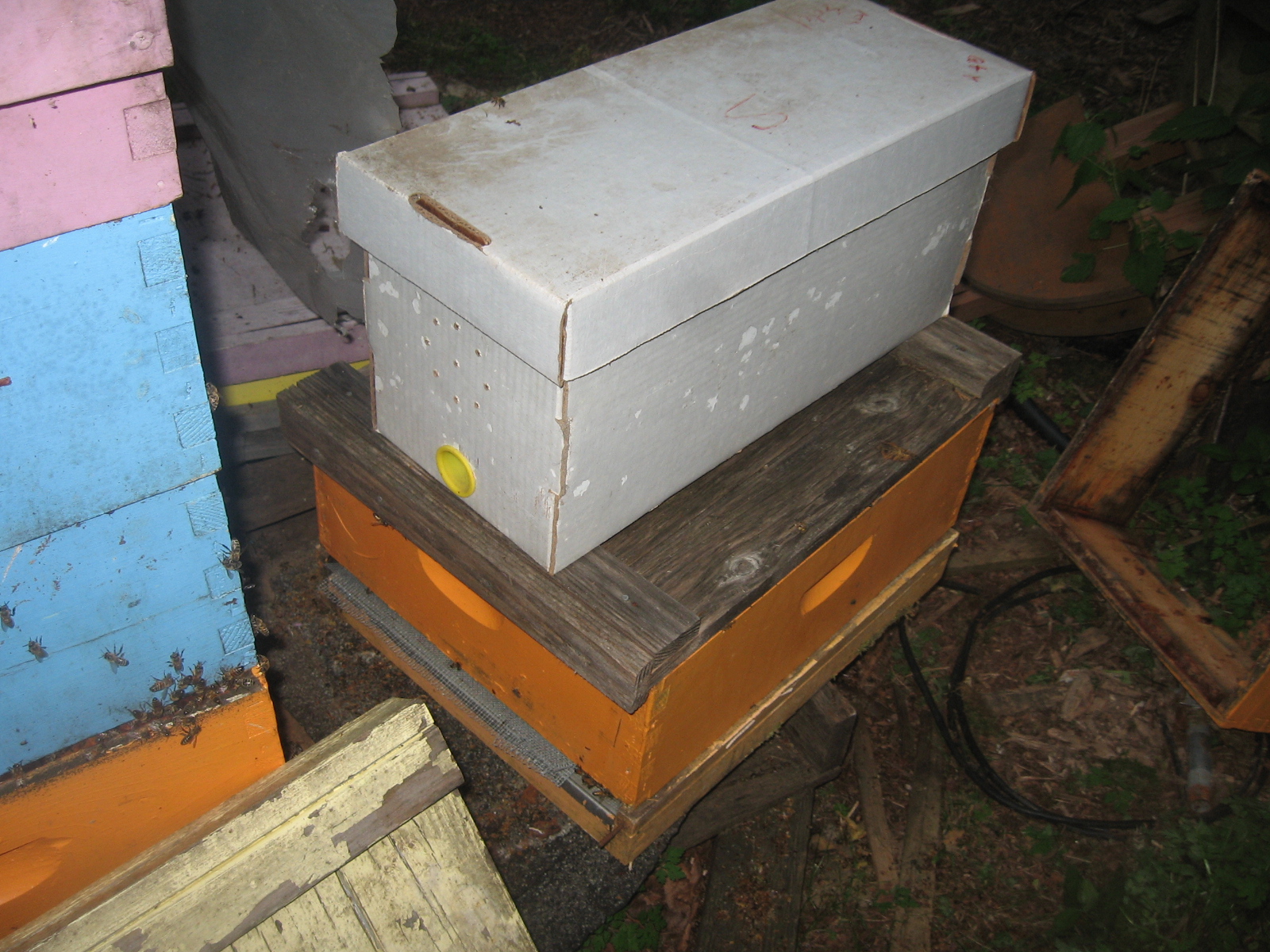 Boxed bees await a new location
